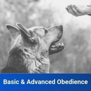 Basic & Advanced Training