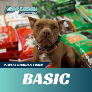 basic board and train off leash k9 training lubbock