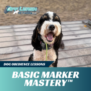 basic marker mastery off leash k9 training lubbock