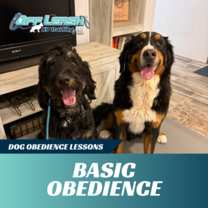 basic dog obedience lessons off leash k9 training lubbock