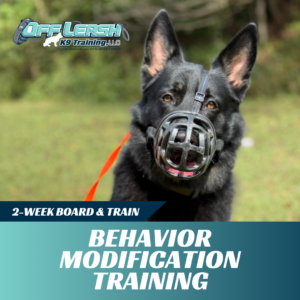 behavior modification board and train off leash k9 training lubbock