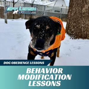 behavior modification lessons off leash k9 training lubbock