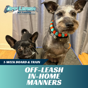 off leash in home board and train off leash k9 training lubbock