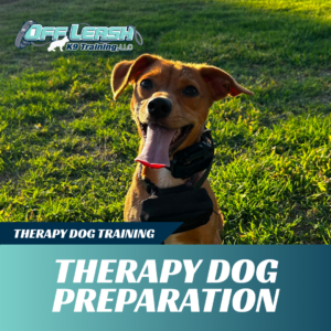therapy dog preparation training off leash k9 training lubbock